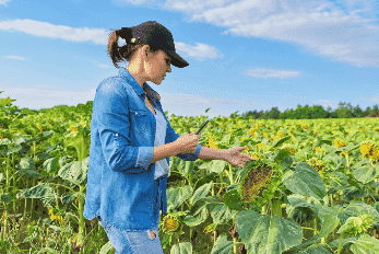 Assistente Técnico Engenheiro Ambiental